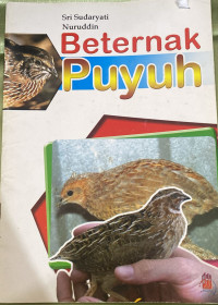 Beternak Puyuh